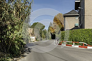 A narrow road that ends in a passage between trees and hedges next to some urban residential buildings
