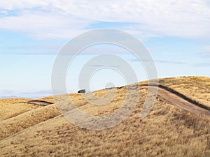 Narrow road in the golden Rolling Hills of Hercules, California