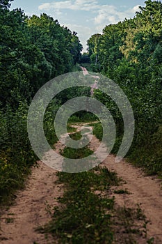 Narrow road through green grove. Narrow winding path going through green bushes and trees against cloudy sky in