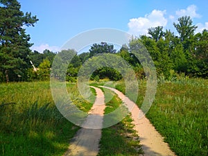 Narrow road through green grove. Narrow winding path going through green bushes and trees against cloudy sky in