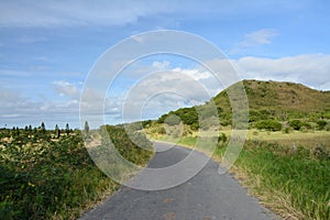 Narrow road in Kenting National Park