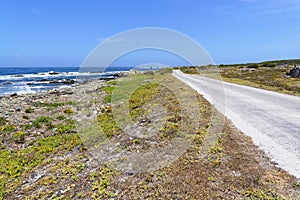 A narrow road runs parallel to the rocky shore of Robben Island