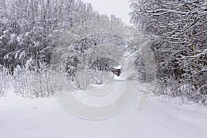 Narrow road to a little cottage surrounded with snowy forest