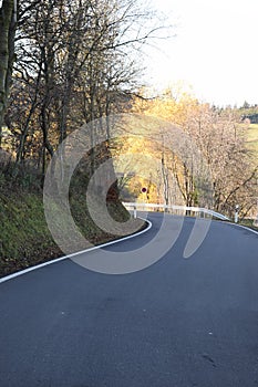 narrow road towards Jammelshofen in autumn 2020