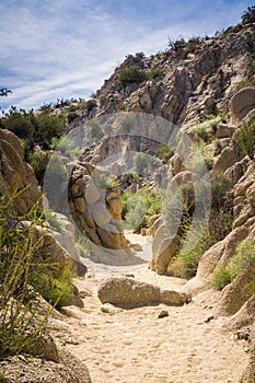 Narrow rocky canyon on the trail to the Lost Palms Oasis, Joshua Tree National Park, California