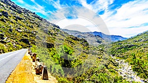 The narrow and scenic Bainskloof Pass through the Witte River or Witrivier Canyon between the towns Ceres and Wellington
