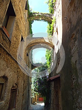 Narrow shaded street in Bussana Vecchia