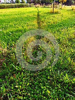 A narrow, slightly trodden straight path in green grass, stretching into the distance