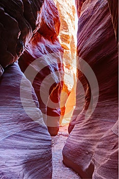 Narrow slot canyon Wire Pass leading into Buckskin Gulch, Paria Canyon-Vermilion Cliffs Wilderness, near the Utah-Arizona border, photo