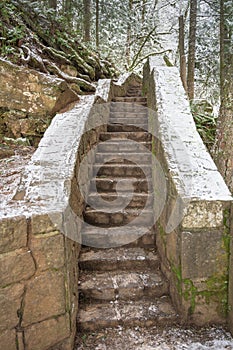 Narrow Stairs in The Woods