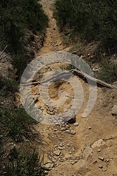 Narrow steep dirt path going down a hill