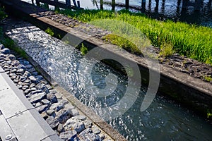 Narrow Stream Surrounded by Green Grass and Rocks