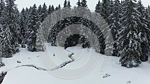 Narrow stream through winter forest landscape, aerial view of snow covered forest