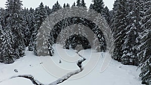 Narrow stream through winter forest landscape, aerial view of snow covered forest