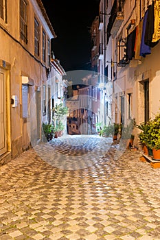 Narrow street adorned with potted plants in the Alfama district, Lisbon