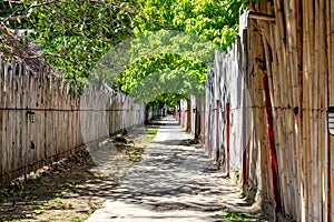 Narrow street alley with bamboo fence on both sides at Phi Phi Islands in Thailand