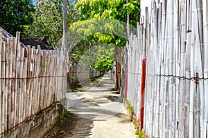 Narrow street alley with bamboo fence on both sides at Phi Phi Islands in Thailand