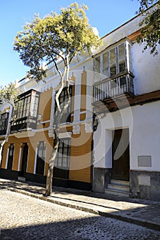 Narrow street and beautiful facades in Sanlucar de Barrameda, Cadiz photo