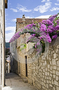 Narrow street in the city of Rab