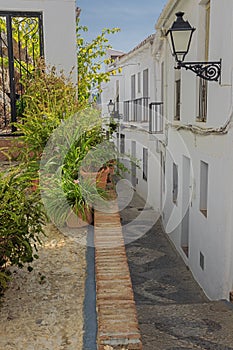 A narrow street decorated with plants