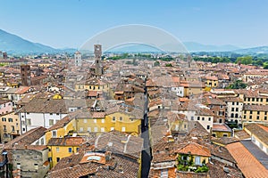 A narrow street dissects the rooftop view of Lucca, Italy