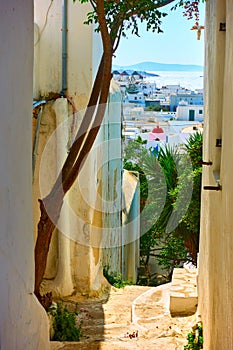 Narrow street downward to the sea in Mykonos