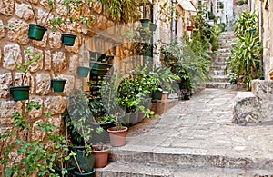 Narrow street with greenery in flower pots