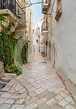 Narrow street in the historic center of Polignano a Mare village, in province of Bari, Puglia