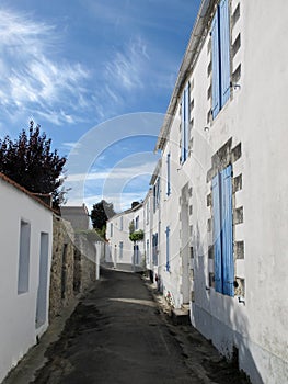 Narrow street lined with traditional white and blue houses