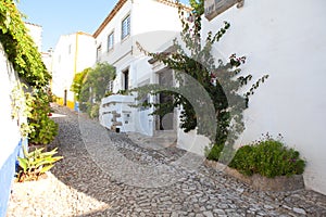 Narrow street in the medieval Portuguese City of Obidos