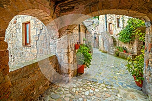 Narrow street in Medieval town with old tradition buildings and flowers