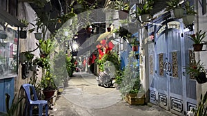 narrow street in Vietnam private sector houses