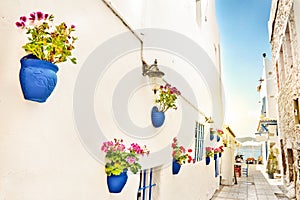 A narrow street with whote walls and blue flower pots, the mediterranean sea in the background, Bodrum Turkey