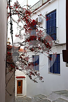 Narrow streets of Skiathos Town with beautiful red flowers 