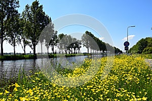 A narrow strip between Aarkanaal and Zegerplas.