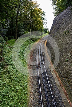 Narrow train tracks in a park in fall with green and yellow leaves, some leaves fallen on the ground