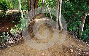A narrow less travelled earthen village path only for walking through trees view. photo