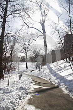 Narrow walkway between snow in the park