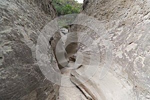 The narrow walls of the Los Hoyos trail in the gray desert of Tatacoa, Colombia photo