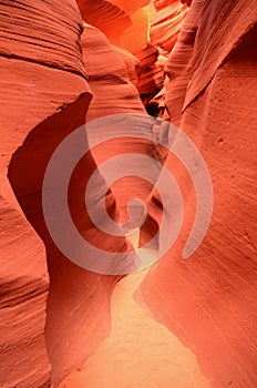 Narrow Walls of Lower Antelope Canyon