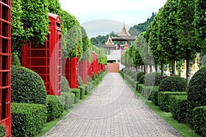 Narrow way among the trees and payphones in park