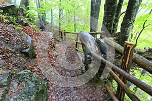 Narrow and wet steep mountain path in the forest with thick fog and with old railing