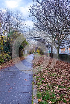 Narrow wet street in park, Bratislava