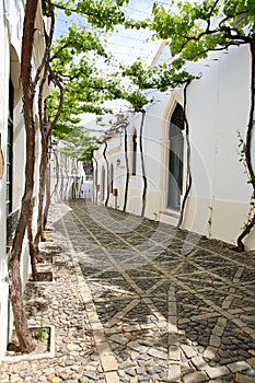 Narrow white street of Spanish Andalusia photo