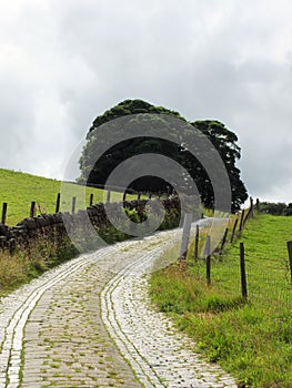 Narrow winding country lane with stone walls cobbles