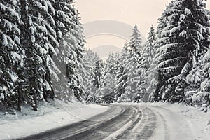 Narrow winding mountain road surrounded by fir forest during snowfall, scenic winter landscape, outdoor travel background