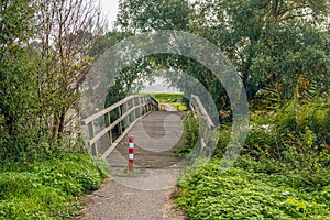 Narrow wooden bridge over a creek