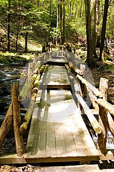 Narrow wooden bridge in the park