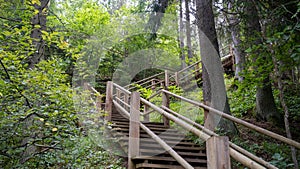 Narrow wooden path winding through forest. Picture of stairs on a hill leading to the top. Nature trail. Latvia.