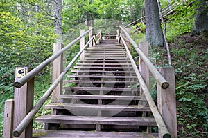 Narrow wooden path winding through forest. Picture of stairs on a hill leading to the top. Nature trail. Latvia